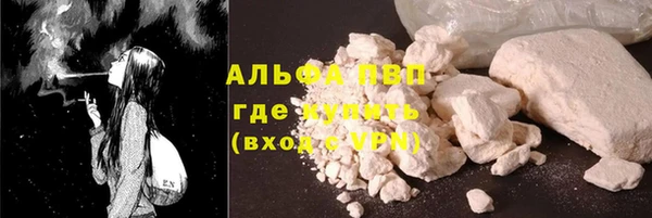 сатива Балахна