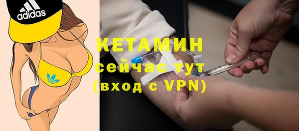 сатива Балахна