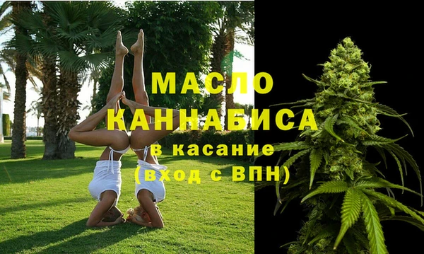 сатива Балахна