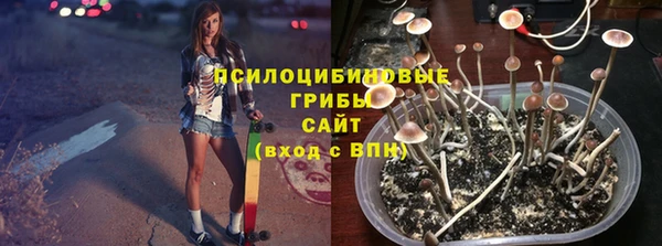 винт Баксан