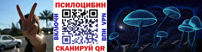 где продают наркотики  Вышний Волочёк  Галлюциногенные грибы GOLDEN TEACHER 